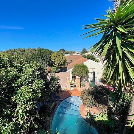 Albert Road Garden Guest House Port Elizabeth Exterior photo