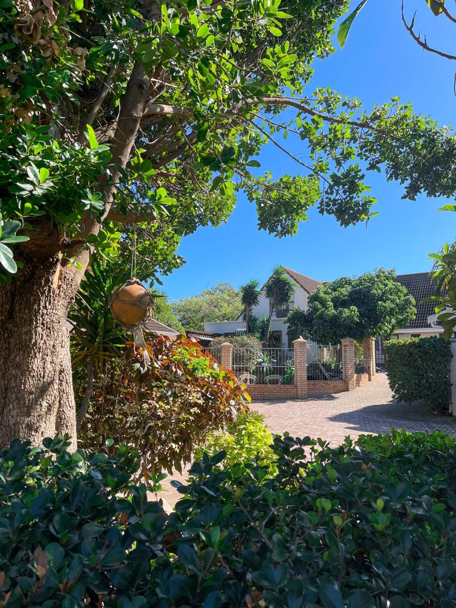 Albert Road Garden Guest House Port Elizabeth Exterior photo