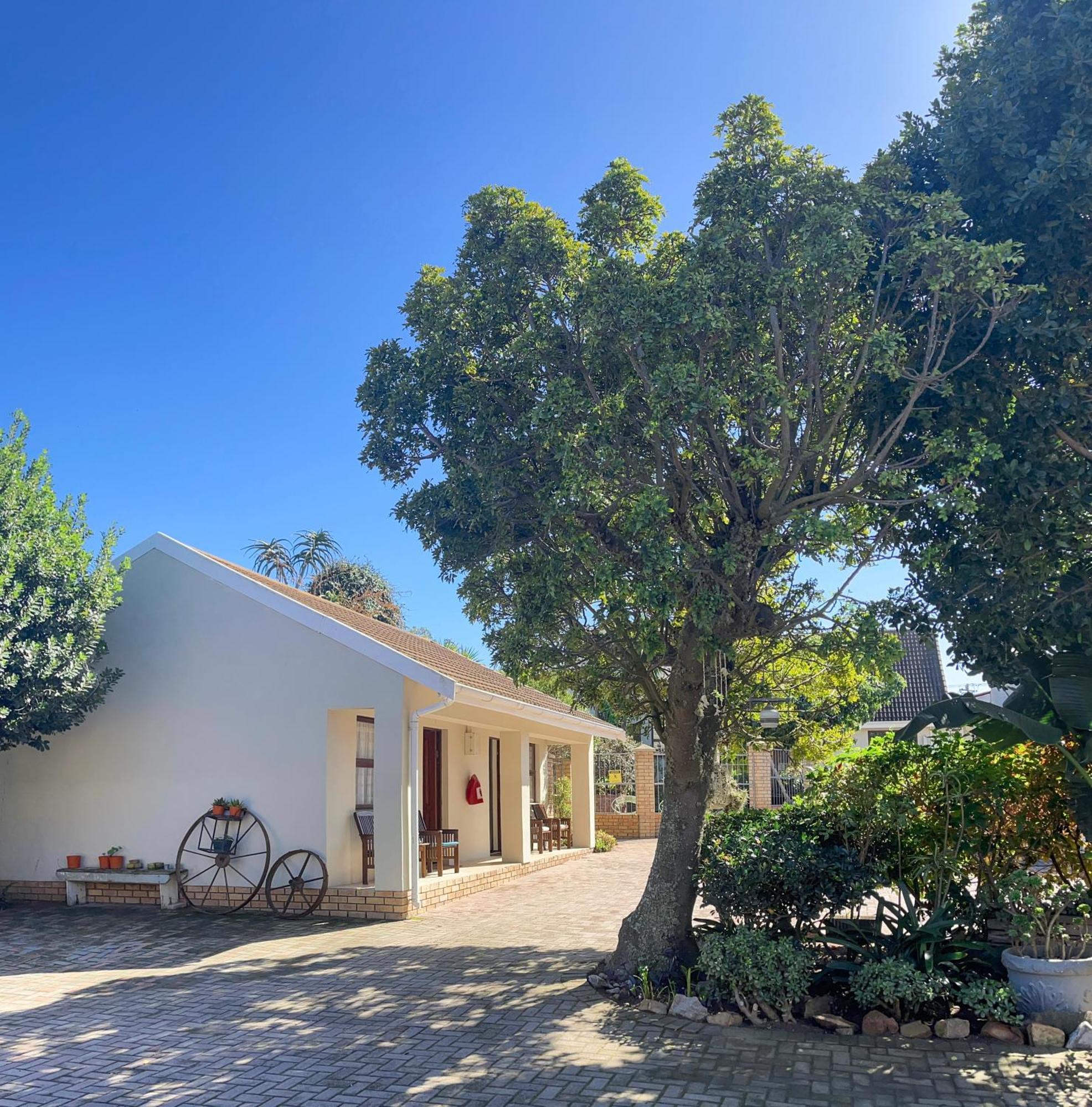 Albert Road Garden Guest House Port Elizabeth Exterior photo